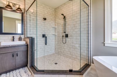 Glass Shower Door